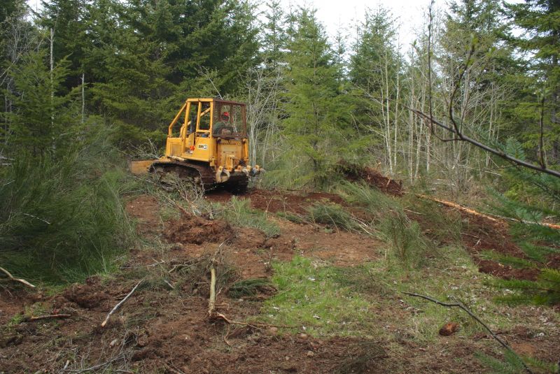 Removes trees and stumps